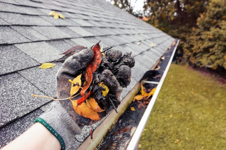 gutters cleaning1